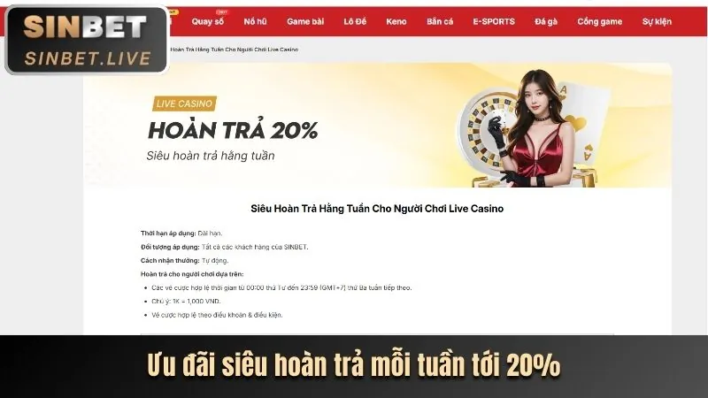 Ưu đãi độc quyền cho thành viên VIP
